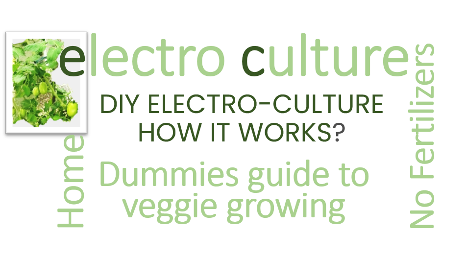 electro culture for beginners